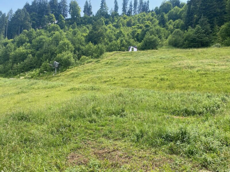 Kitzbuhel in summer. Image © PlanetSKI