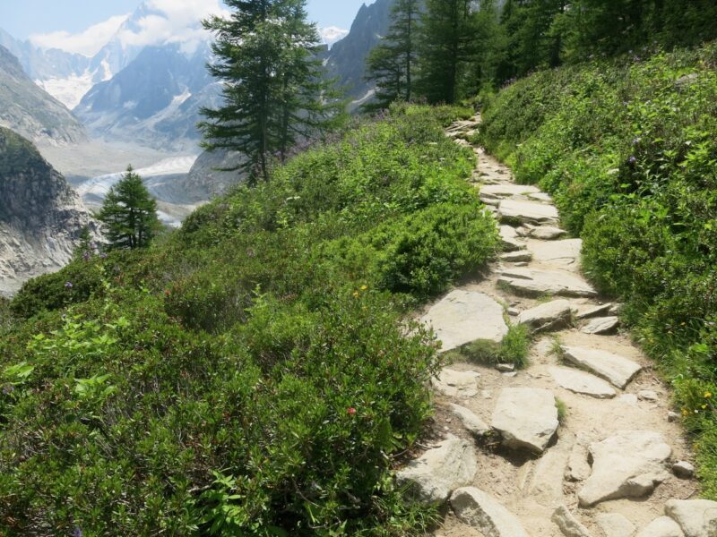 Chamonix in the Summer. Image © PlanetSKI