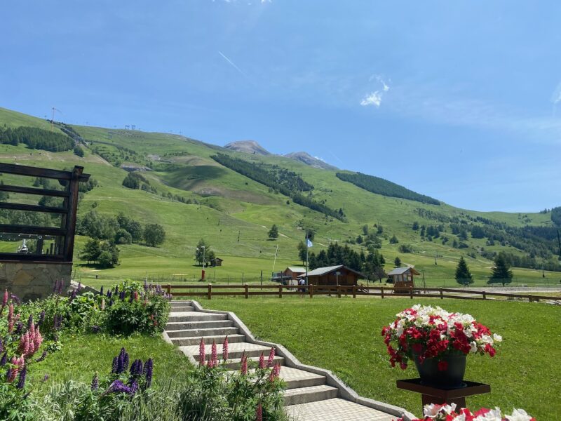 Les2Alpes in the summer. Image © Claire McAteer/PlanetSKI