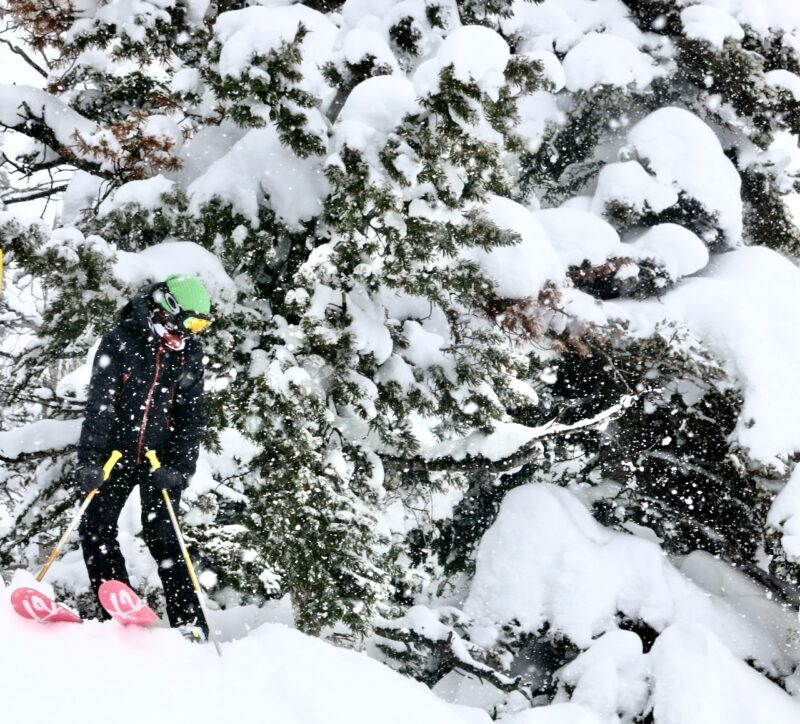 Jackson, Wyoming. Image © PlanetSKI