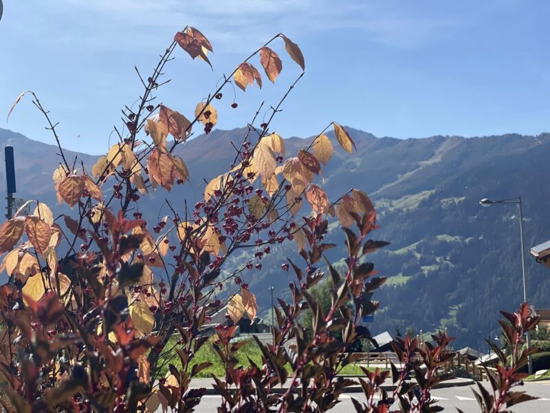 Verbier, Switzerland. Image © PlanetSKI