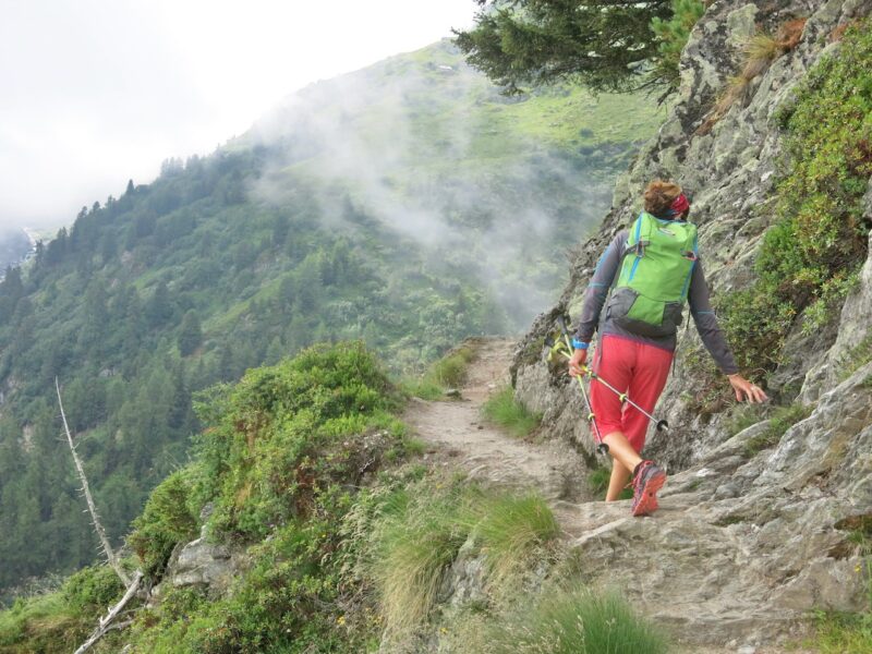 Swiss Alps in the summer. Image c/o PlanetSKI