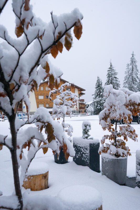 Verbier, Switzerland. Image © Lucia Harrison. 