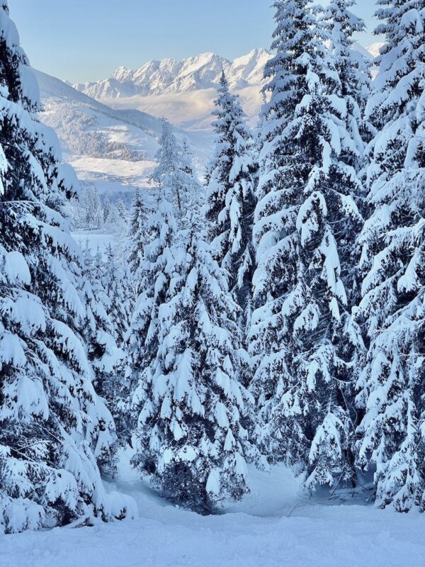 Ski touring in the Tirol. Image © Holger Gassler