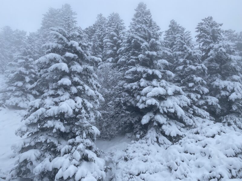 Ax-3-Domaines, French Pyrenees. Image © PlanetSKI