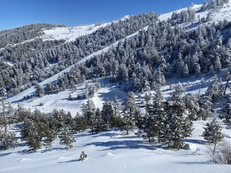 Skiing in Turkey. Image © PlanetSKI