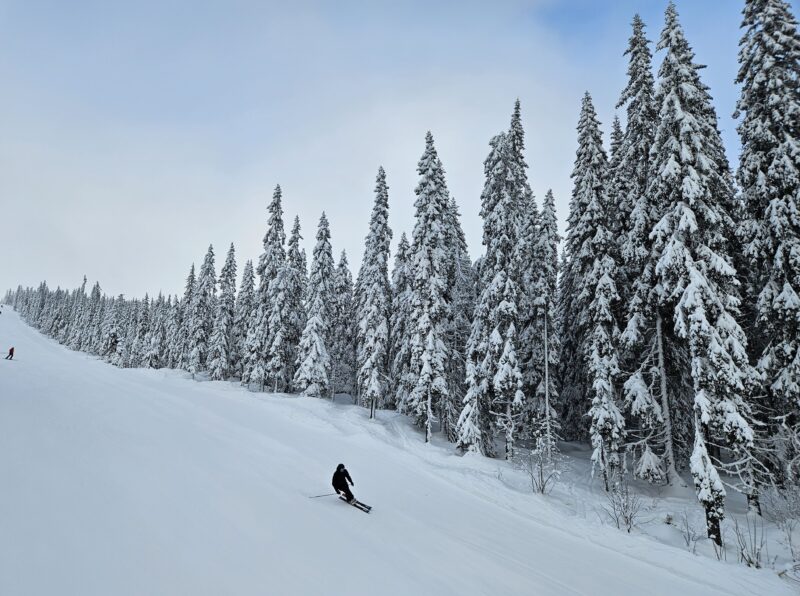 Trysil, Norway, Monday 26 Feb 2024. Image © PlanetSKI