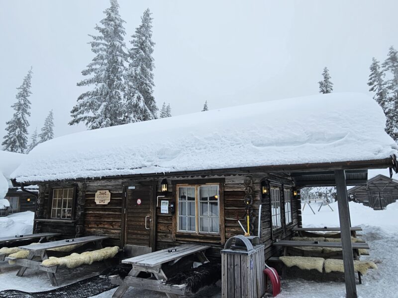 Trysil, Norway, February 2024. Image © PlanetSKI