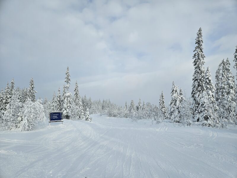 Trysil, Norway, February 2024. Image © PlanetSKI