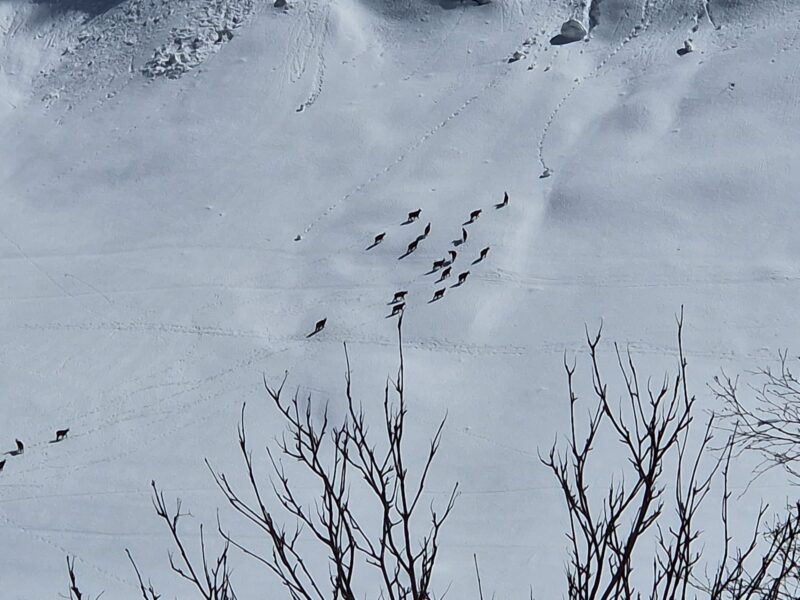 Touring in St Anton. Image © Simon Miller/PlanetSKI