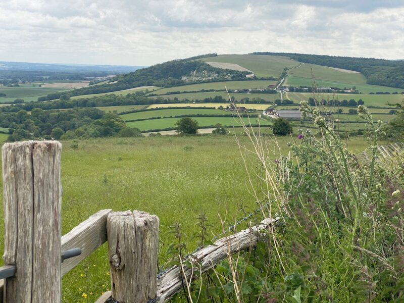 South Downs Way. Image © PlanetSKI