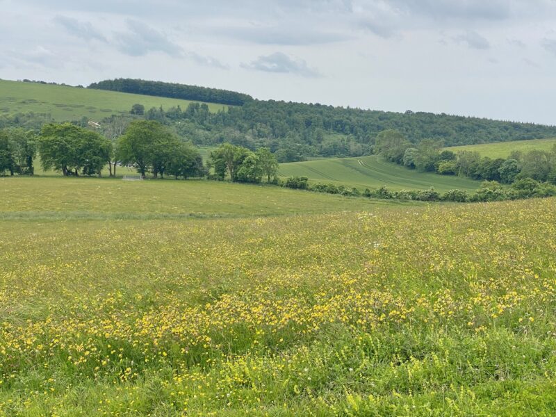 South Downs Way. Image © PlanetSKI