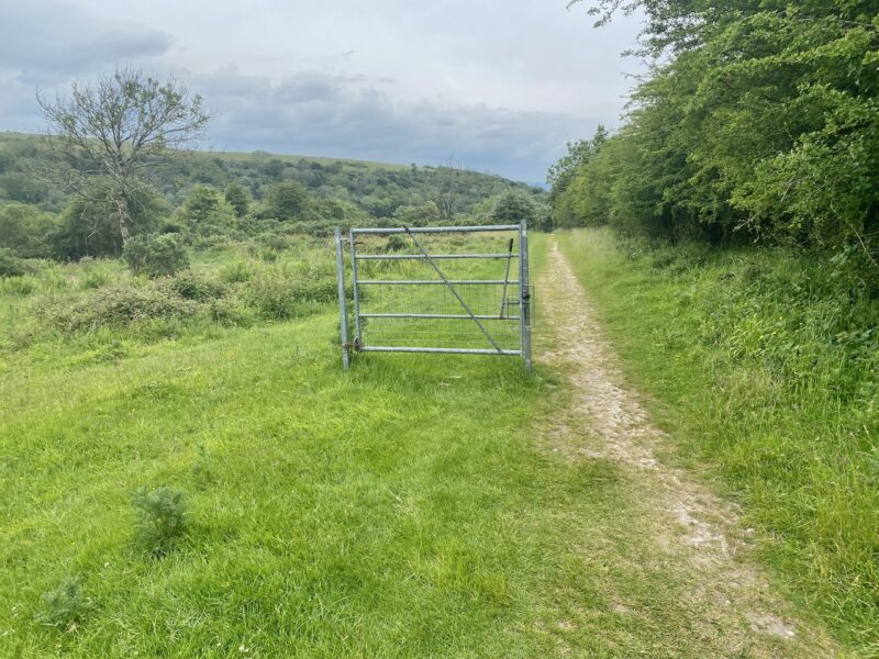 South Downs Way. Image © PlanetSKI