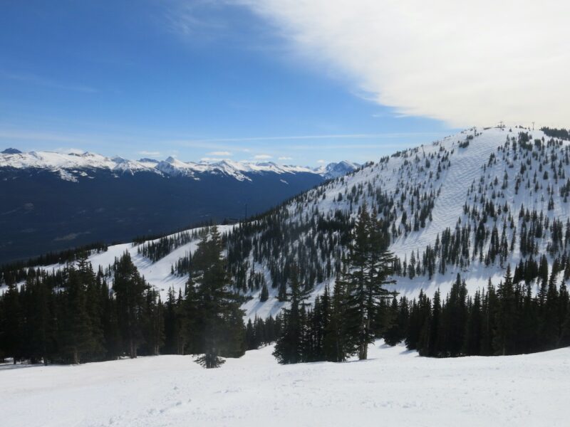 Marmot Basin, Alberta. Image © PlanetSKI