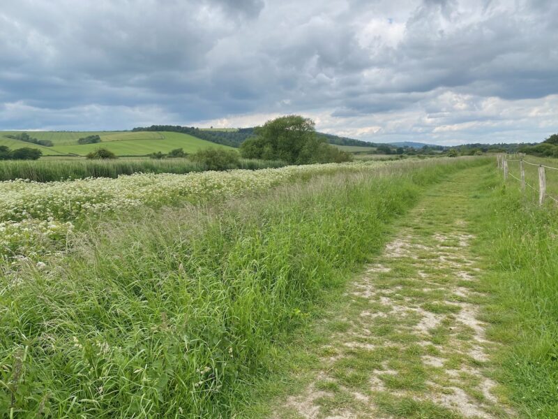 South Downs Way. Image © PlanetSKI