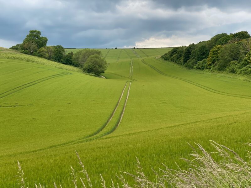 South Downs Way. Image © PlanetSKI