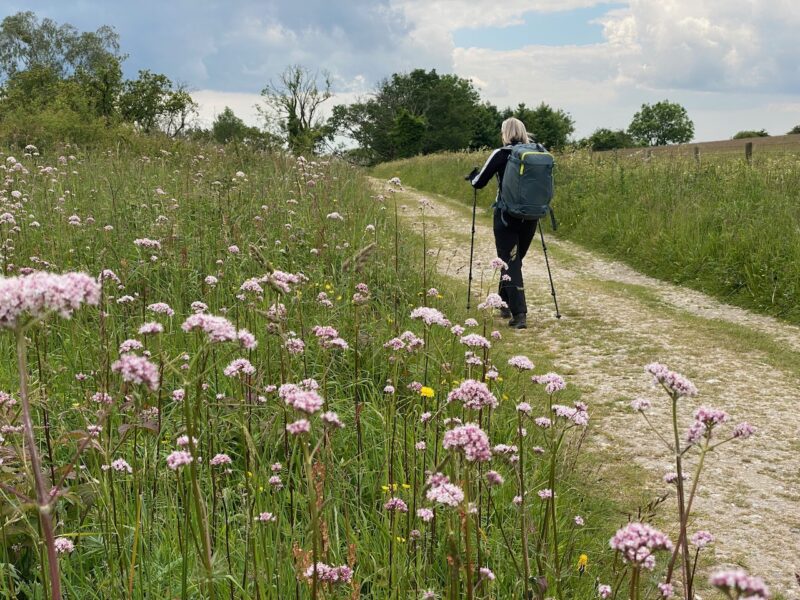 South Downs Way. Image © PlanetSKI