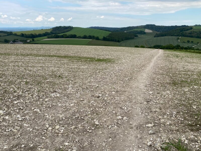 South Downs Way. Image © PlanetSKI