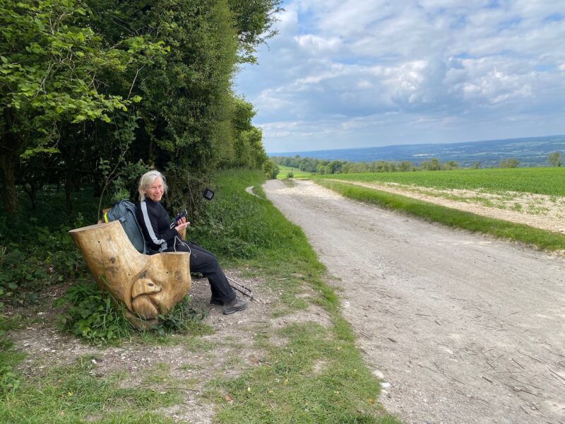 South Downs Way. Image © PlanetSKI