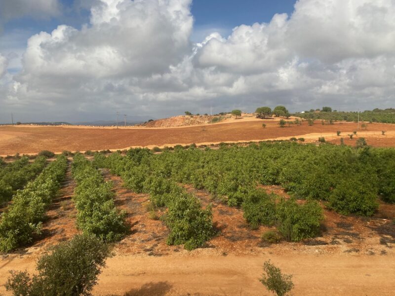 Portugal. Image © PlanetSKI