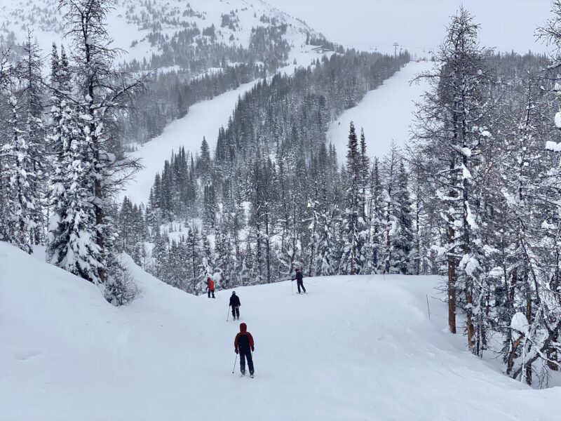 Richardson's Ridge opening day in Lake Louise. Image © PlanetSKI