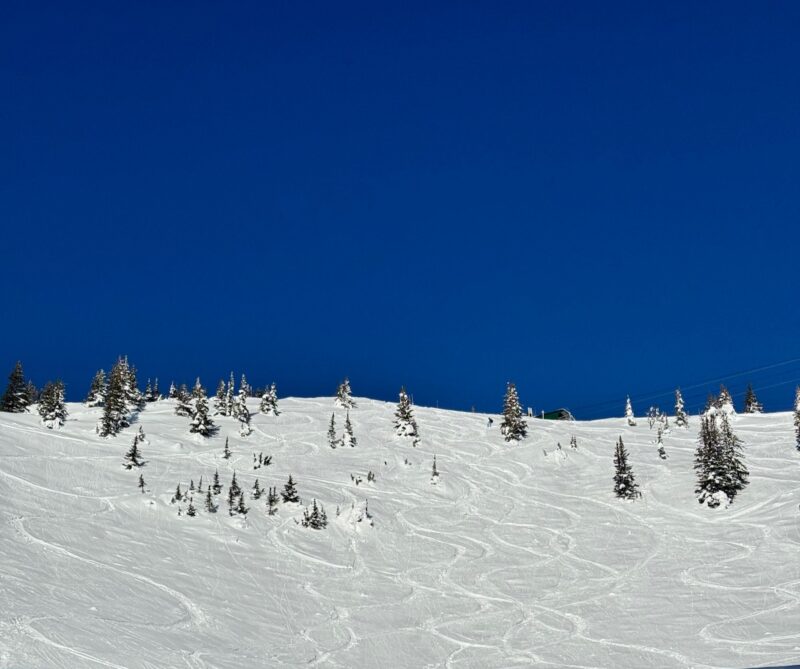 US Resorts Close Early After Poor Winter