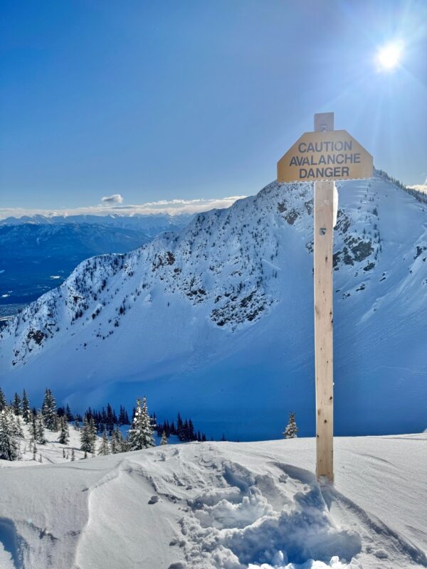 Kicking Horse, British Columbia, Canada. Image © PlanetSKI