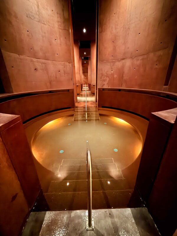 Make a Transfer for Martigny 75 Martigny, Switzerland. Image © PlanetSKI