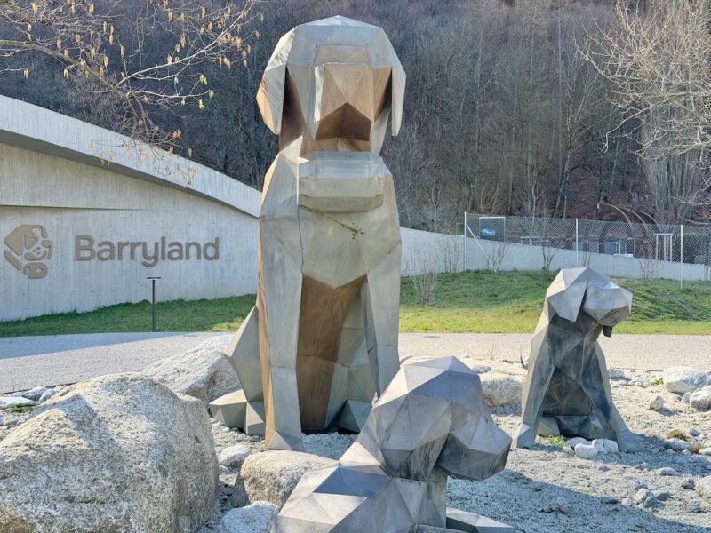 Make a Transfer for Martigny 45 Martigny, Switzerland. Image © PlanetSKI