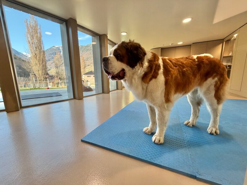 Make a Transfer for Martigny 47 Martigny, Switzerland. Image © PlanetSKI