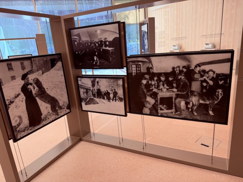 Make a Transfer for Martigny 53 Martigny, Switzerland. Image © PlanetSKI