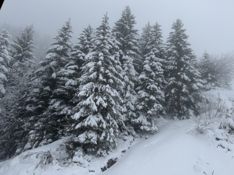 Morzine/Les Gets, France. Image © PlanetSKI
