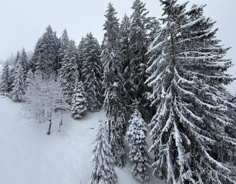 Morzine/Les Gets, France. Image © PlanetSKI