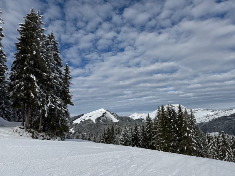 Les Gets, France. Image © PlanetSKI
