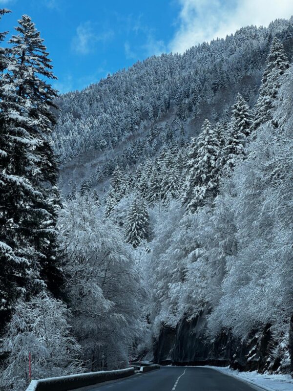 Driving to the French Alps with LeShuttle. Image © PlanetSKI