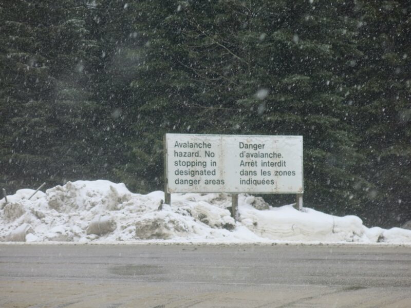 Rogers Pass, Canada. Image © PlanetSKI